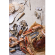 Kit personnalisable Histoire des fruits de mer VINGA