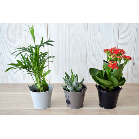 Plante en pot zinc publicitaire aimanté Plante en pot zinc publicitaire aimanté