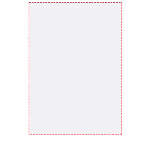 Recto feuilles (portr. reliure à gauche)