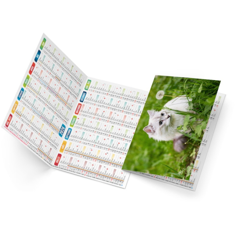 Calendrier de poche publicitaire - Félix