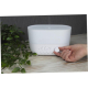 Humidificateur et diffuseur d’arômes 4 en 1 Connected Prixton