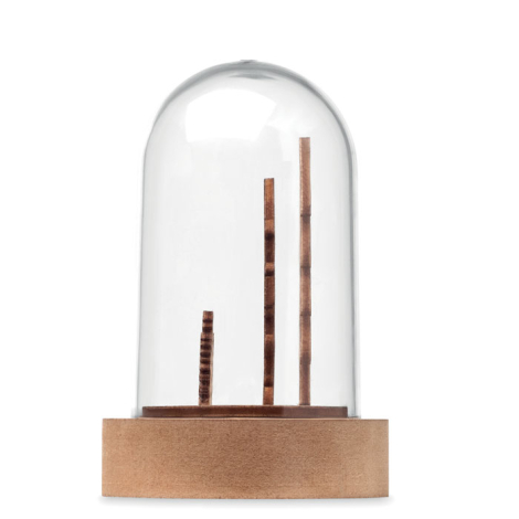 Décoration LED de Noël sous cloche en verre avec trois tiges en bois, sans personnalisation visible.