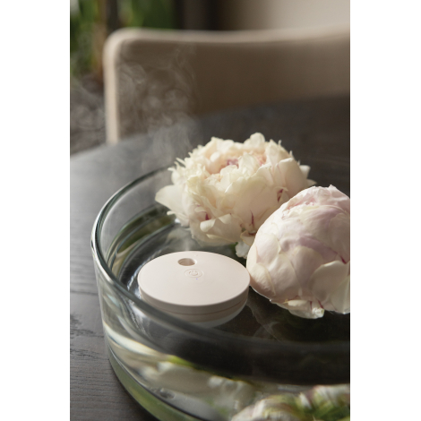 Diffuseur beige placé dans un verre d’eau avec fleurs, en situation d’utilisation, sans personnalisation.