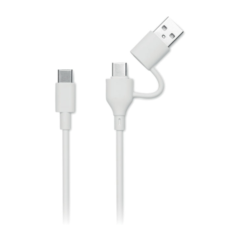 Câble de charge blanc avec connecteurs USB et USB-C vu de face, sans marquage.