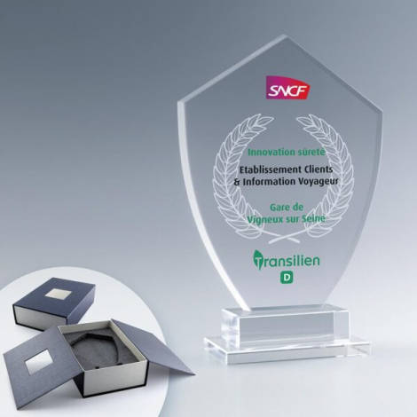 Trophée en verre personnalisable Rectangle ou Emblème