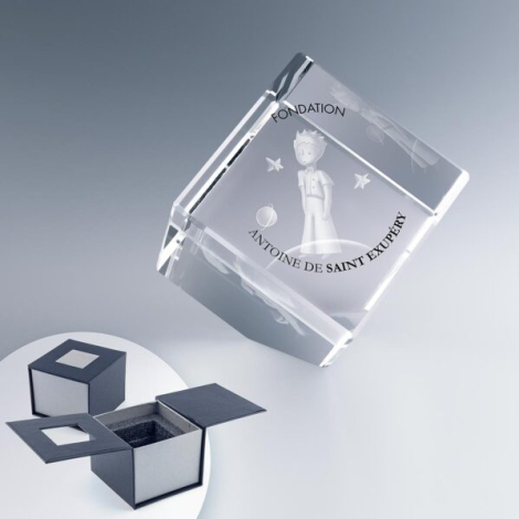 Cube en verre à pan coupé incliné avec marquage visible avec visuel Petit Prince