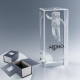 Deuxième visuel du trophée rectangulaire en verre, vertical, marquage visible