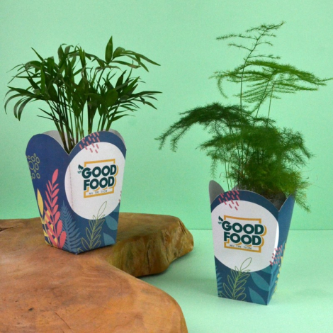 Plante personnalisable en pot popcorn fabriquée en Europe