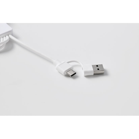 Gros plan sur les connecteurs USB et USB-C blancs, sans personnalisation visible.