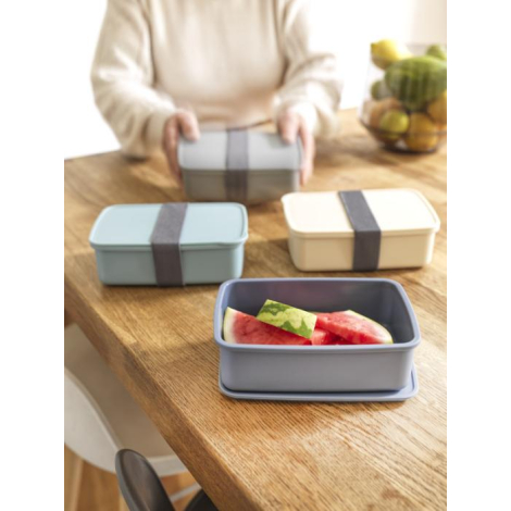 Lunch boxes de différentes couleurs disposées sur une table en bois, l’une ouverte contenant des morceaux de pastèque.