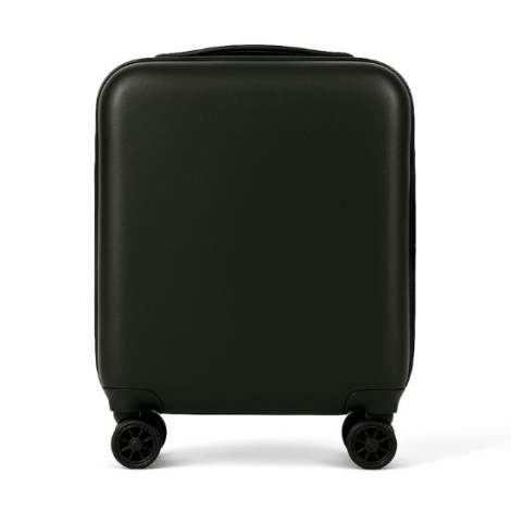 Vue de trois quarts opposée présentant la poignée télescopique et les roues doubles. Sans marquage visible.