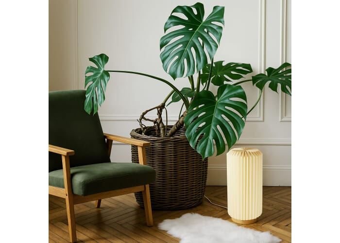 Lampe LED pliable personnalisable Coollux Aurora Tall Nature