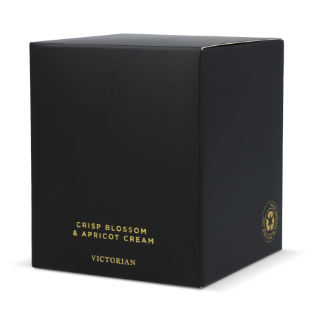 Boîte de présentation noire vue de trois quarts, sans marquage visible.