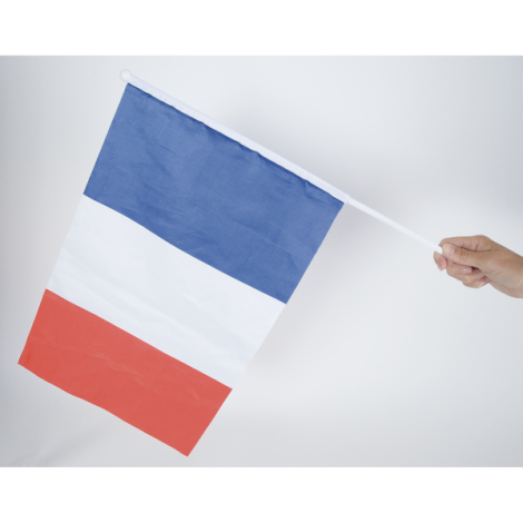 Drapeau tricolore tenu par une main, montré de face, sans personnalisation apparente sur la surface centrale