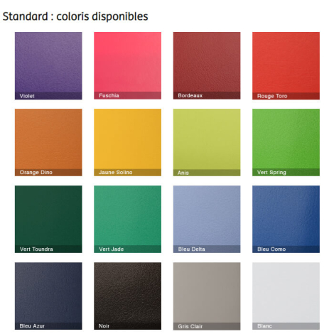 Présentation des différents coloris matière standard