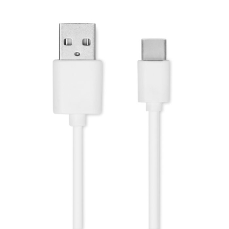 Câble USB-C avec connecteur USB-A d’un côté et USB-C de l’autre, présenté séparément, sans marquage visible.