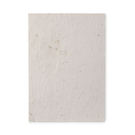 Feuille A5 présentée à plat avec texture fibreuse apparente du papier ensemencé, sans marquage visible.