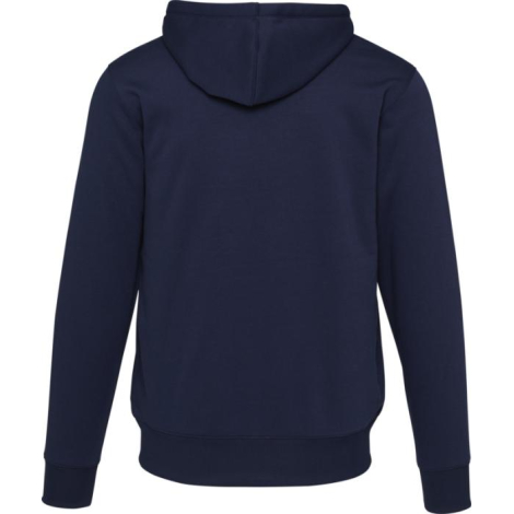 Sweat à capuche bleu unisexe vu de dos avec capuche et manches longues, présenté sans marquage visible.