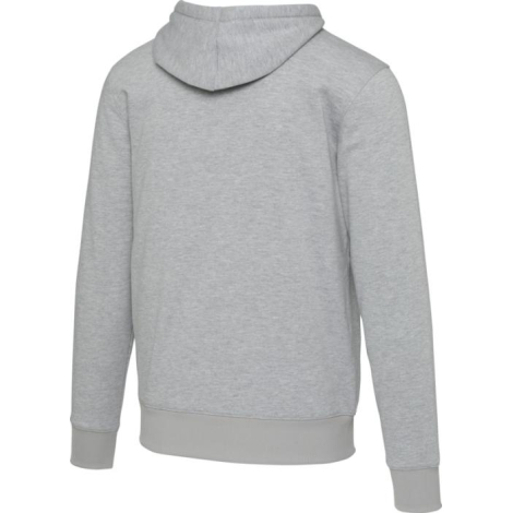 Sweat à capuche gris unisexe vu de dos avec capuche et structure textile épaisse, illustré sans personnalisation apparente.