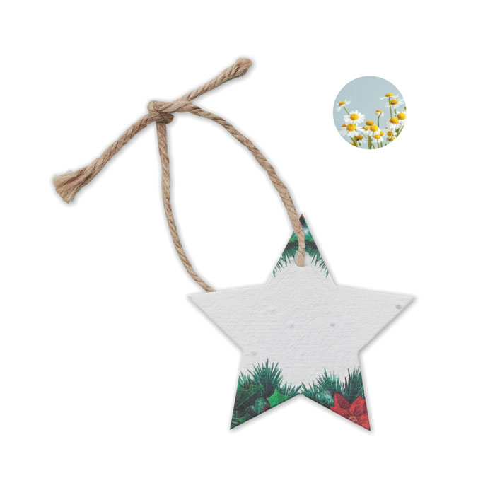 Etoile publicitaire en papier ensemencé STARSEED Blanc