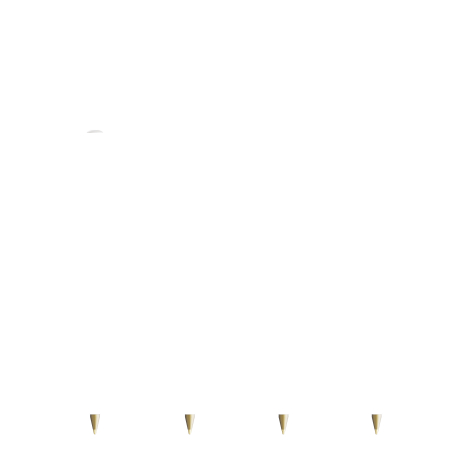 Stylo BIC® antibactérien personnalisé Round Stic® BGUARD™