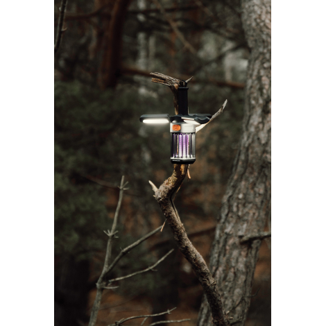 Lampe de camping accrochée à une branche en extérieur avec éclairage allumé, sans personnalisation visible.