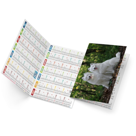 Calendrier de poche publicitaire - Fidèle