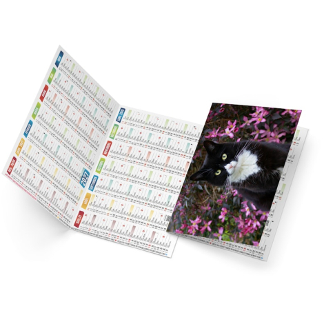 Calendrier de poche publicitaire - Félix