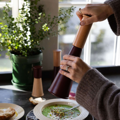 Personne utilisant un moulin à sel ou à poivre en bois clair et métal bordeaux au-dessus d’une assiette, sans personnalisation v