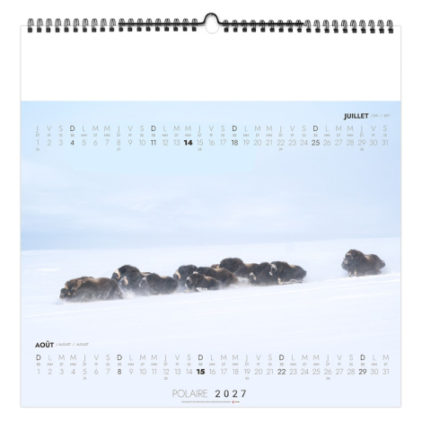 Calendrier illustré publicitaire - Polaire