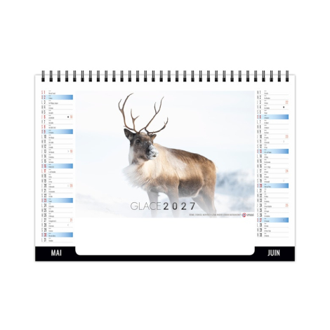 Chevalet standard publicitaire 7 feuillets - Glace