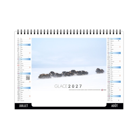 Chevalet standard publicitaire 7 feuillets - Glace