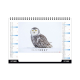 Chevalet standard publicitaire 7 feuillets - Glace