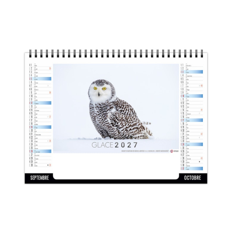 Chevalet standard publicitaire 7 feuillets - Glace
