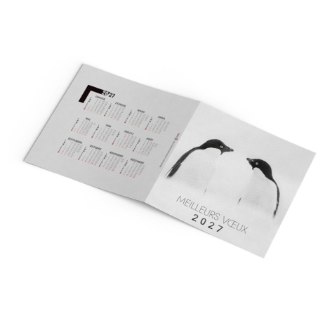 Carte de vœux publicitaire - Froid