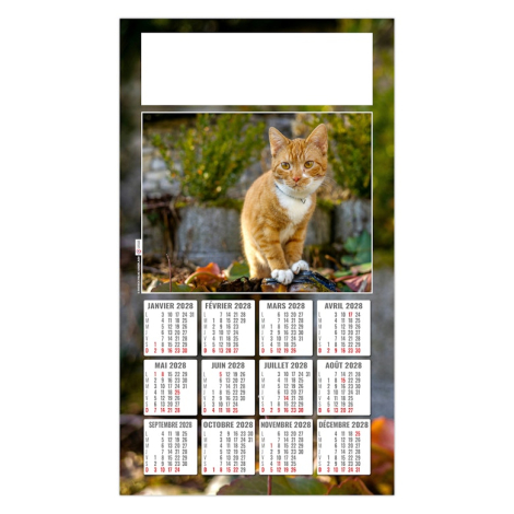 Calendrier 2027 personnalisable plaque 1 vue - César