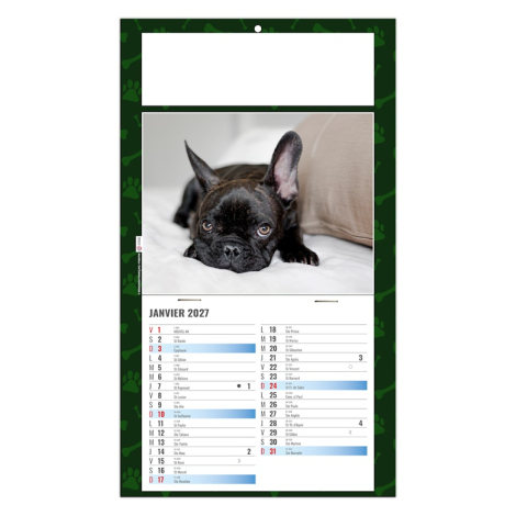 Calendrier 2027 personnalisable plaque 1 vue - Rex
