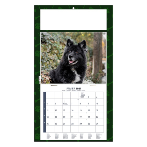 Calendrier 2027 personnalisable plaque 1 vue - Rex