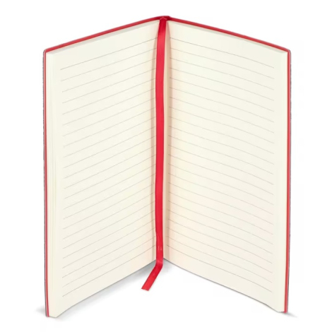 Carnet ouvert avec pages lignées et ruban marque-page assorti à la tranche de couleur, sans marquage apparent.