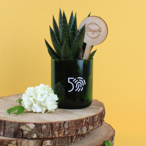 Plante personnalisable en pot verre