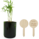 Plante personnalisable en pot verre