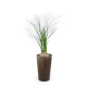 Plante publicitaire - Grand Gob'Lin
