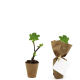 Mini plant d'arbre fibre de bois personnalisable