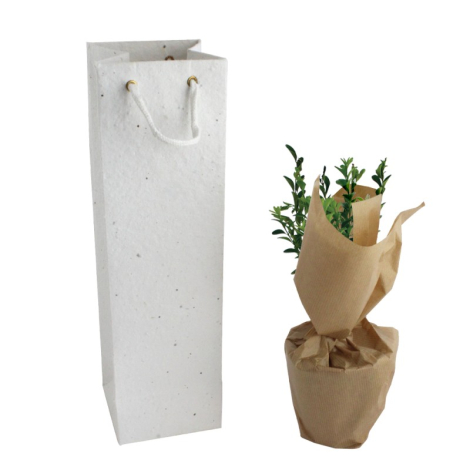 Plant d'arbre dans un sac kraft publicitaire