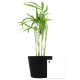 Mini plante dépolluante en pot céramique publicitaire Mini plante dépolluante en pot céramique publicitaire