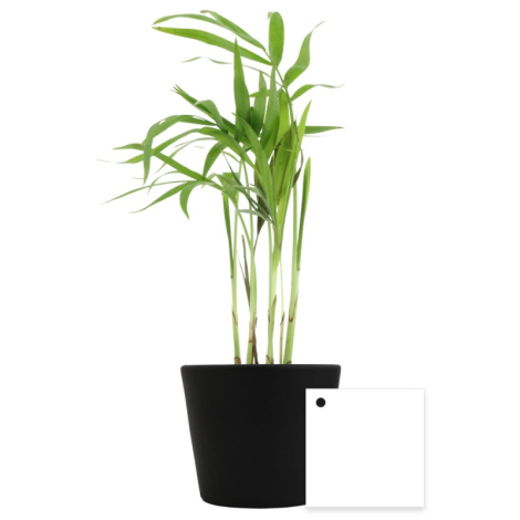 Mini plante dépolluante en pot céramique publicitaire