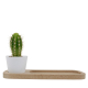 Plateau publicitaire pour bureau