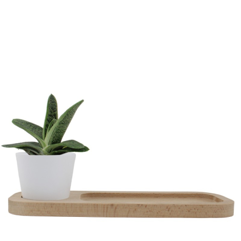 Plateau publicitaire pour bureau