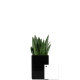 Le pot' Ordi publicitaire avec plante Le pot' Ordi publicitaire avec plante