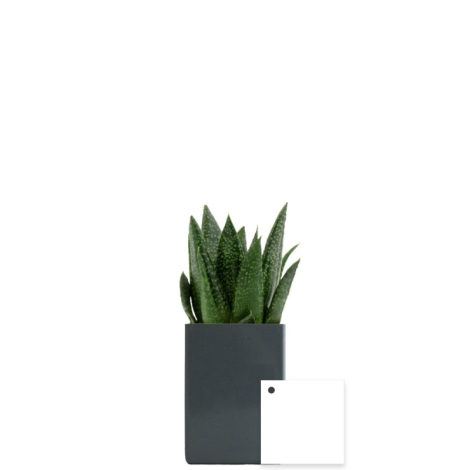Le pot' Ordi publicitaire avec plante